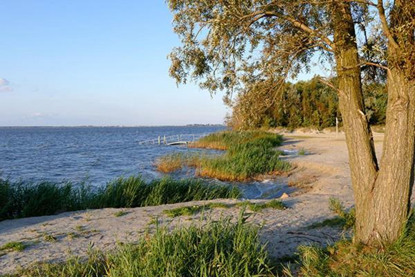 Huus Am Darss Fuhlendorf (Mecklenburg-Vorpommern) Exterior foto